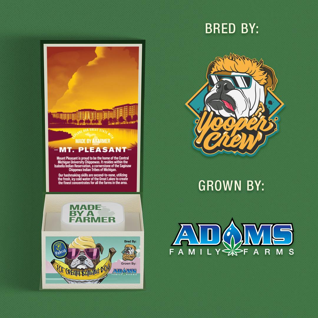 Made By A Farmer | Ice Cream Banana Dog | Hash Rosin Concentrate | 1g | Hybrid
