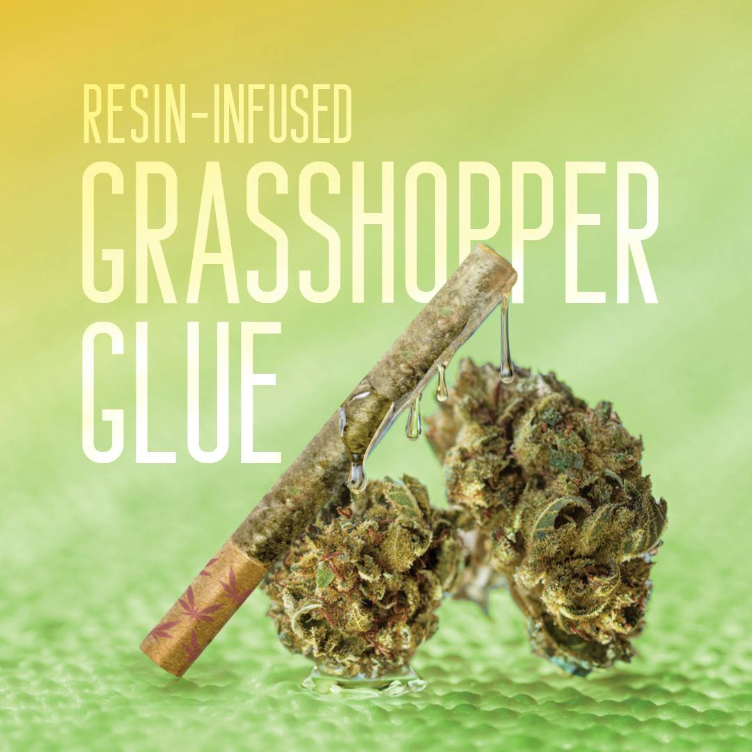 Grasshopper Farms | Grasshopper Glue | Resin Infused Pre-rolls Tin | 1g x 5 | Hybrid