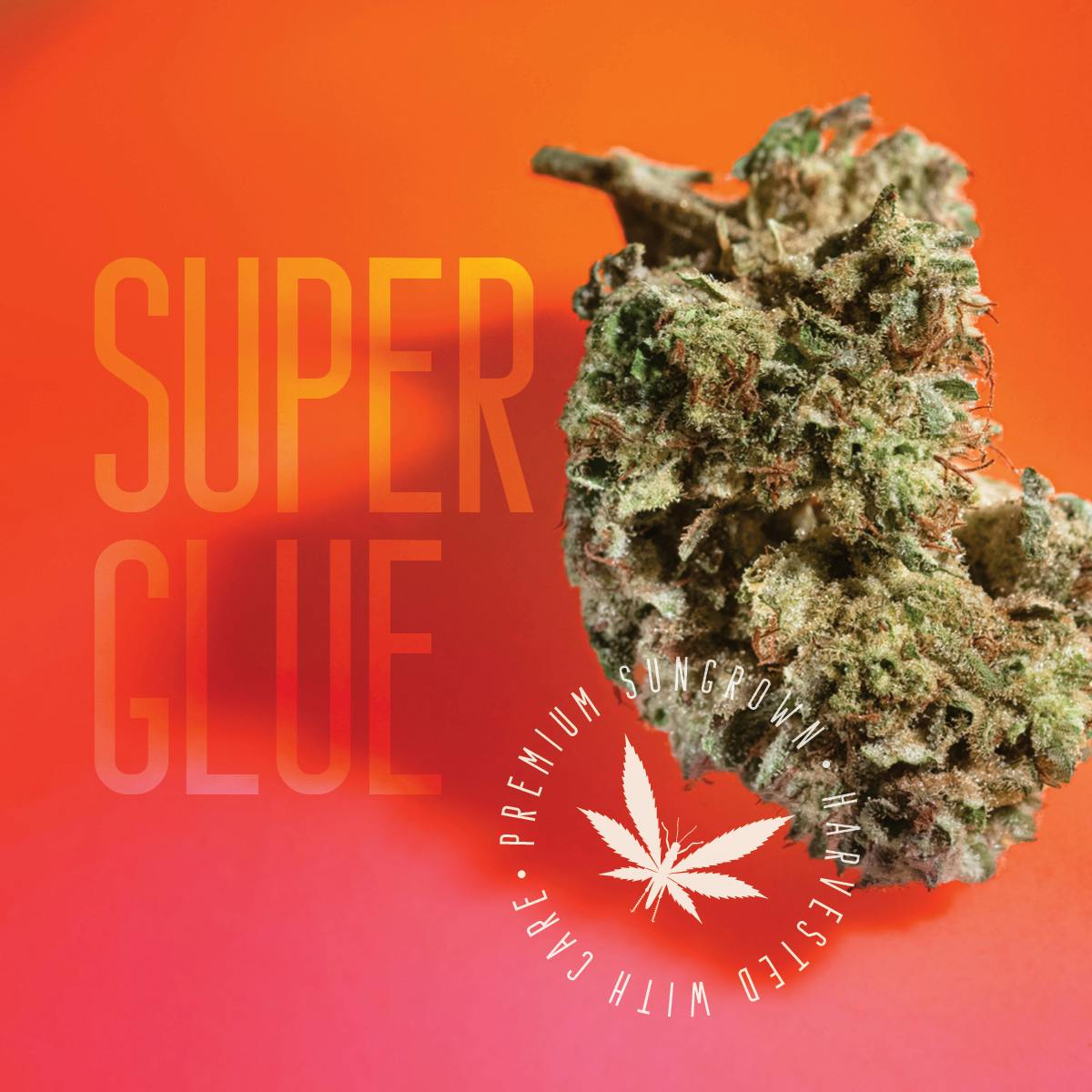 Grasshopper Farms | Super Glue | Pre-rolls | 1g x 5 | Hybrid