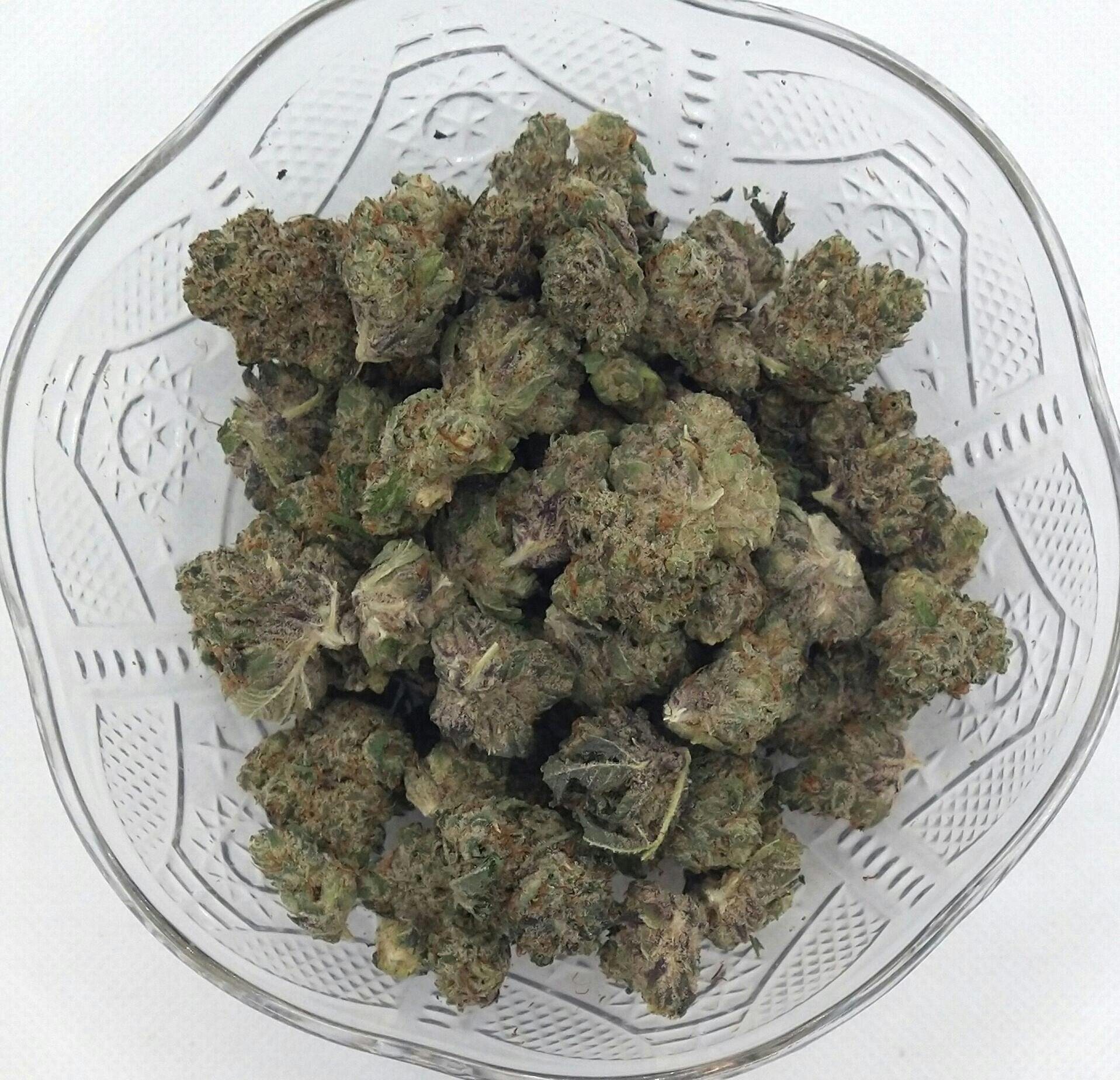 Craft Hydro | Peach Rings | Hybrid | Bulk Flower | Gold