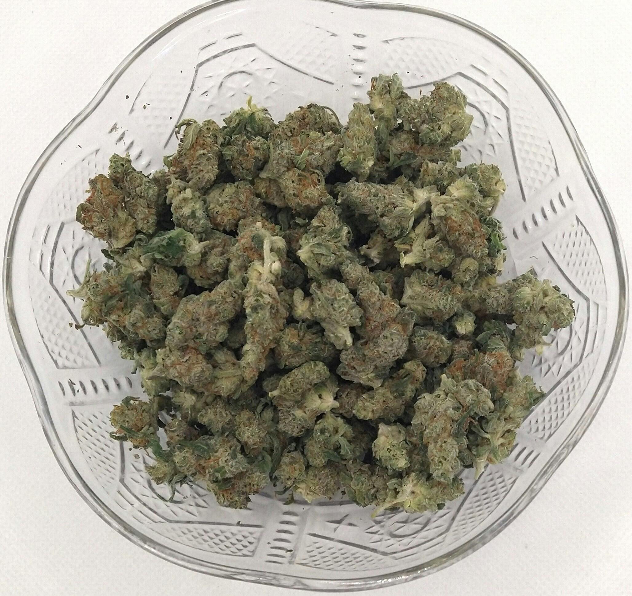 AHKI Canna | Florida Gaspack | Indica | Bulk Flower | Gold