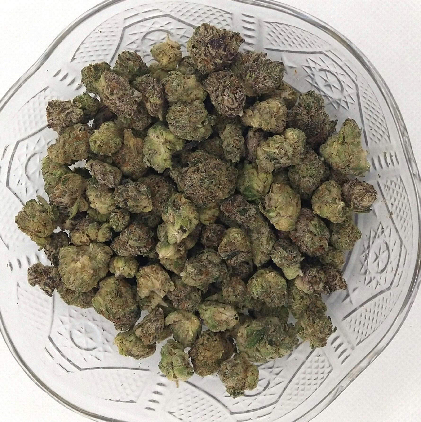 AHKI Canna | LA Rosa | Hybrid | Bulk Flower | Gold