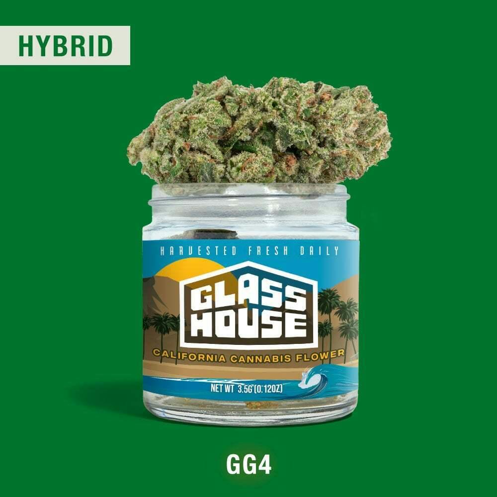 GG4: Glass House Farms