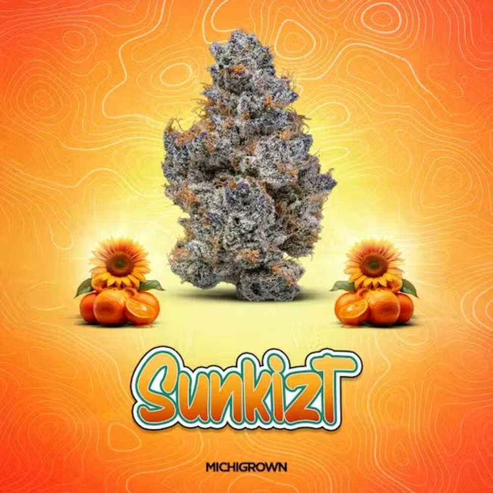 Michigrown Sunkizt