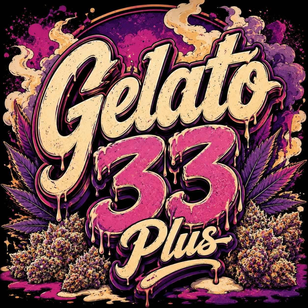 Gelato 33 Plus