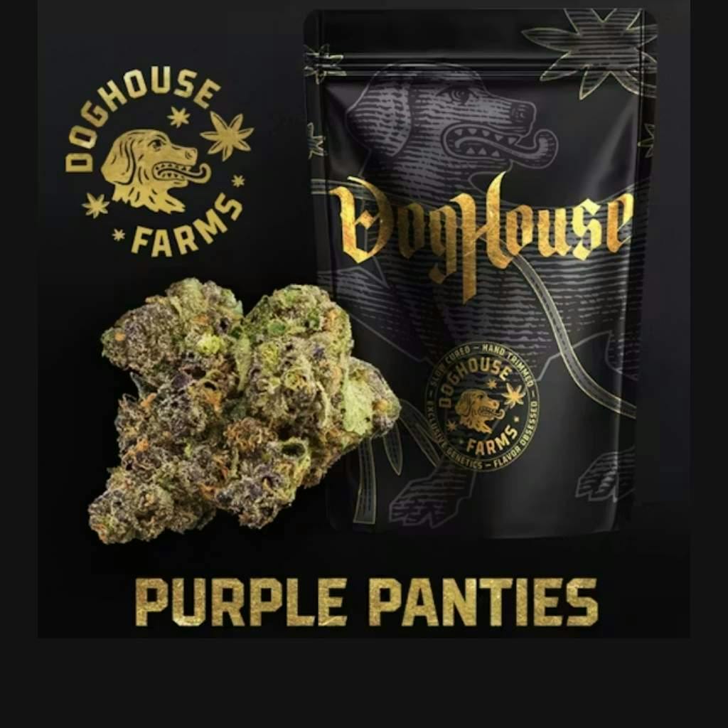 Doghouse Purple Panties