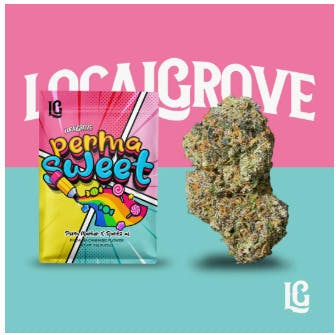Local Grove Prepackaged Flower | Brain Stew | 3.5G by Local Grove