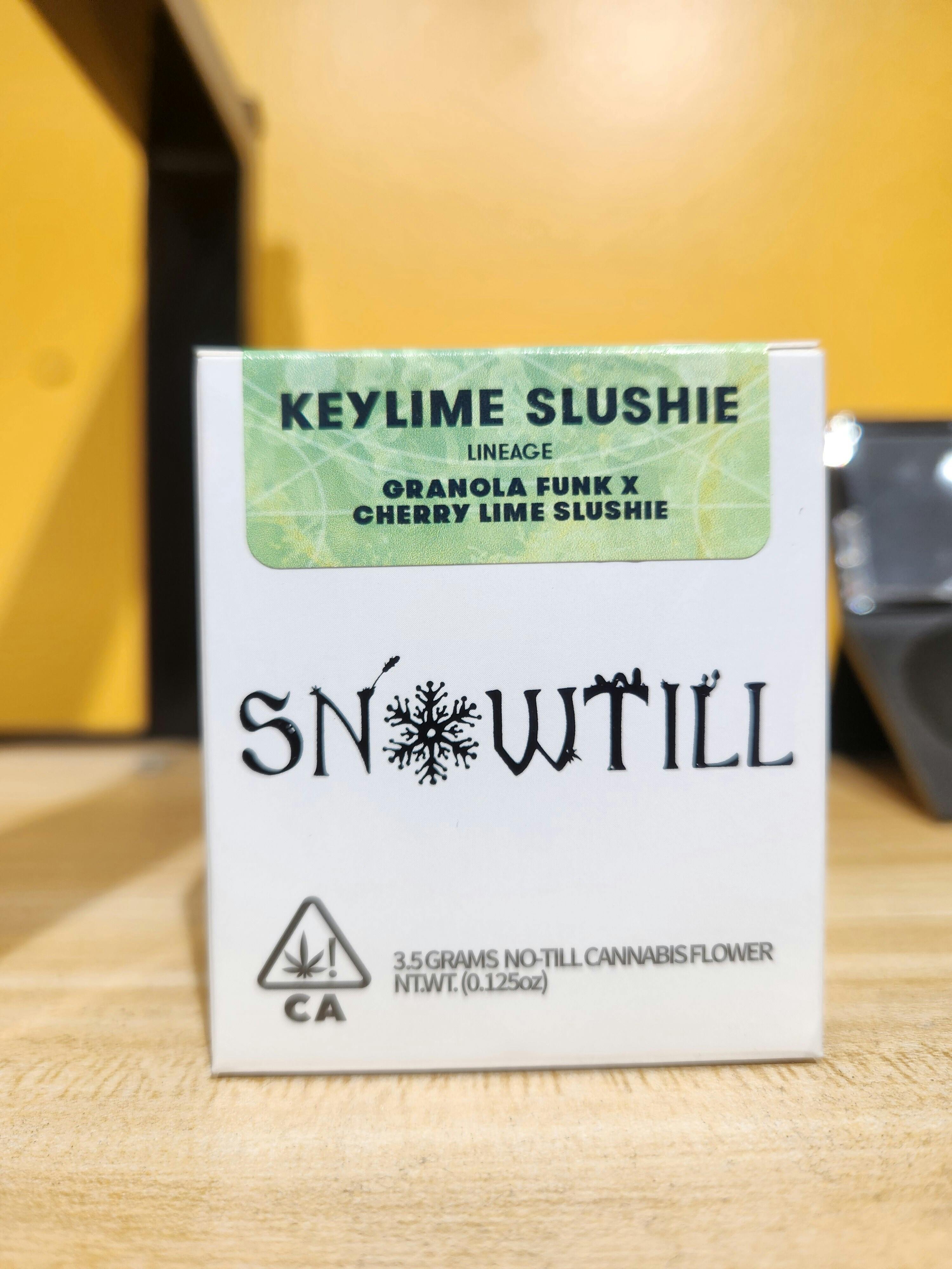 Keylime Slushie | Big Buds | 3.5g