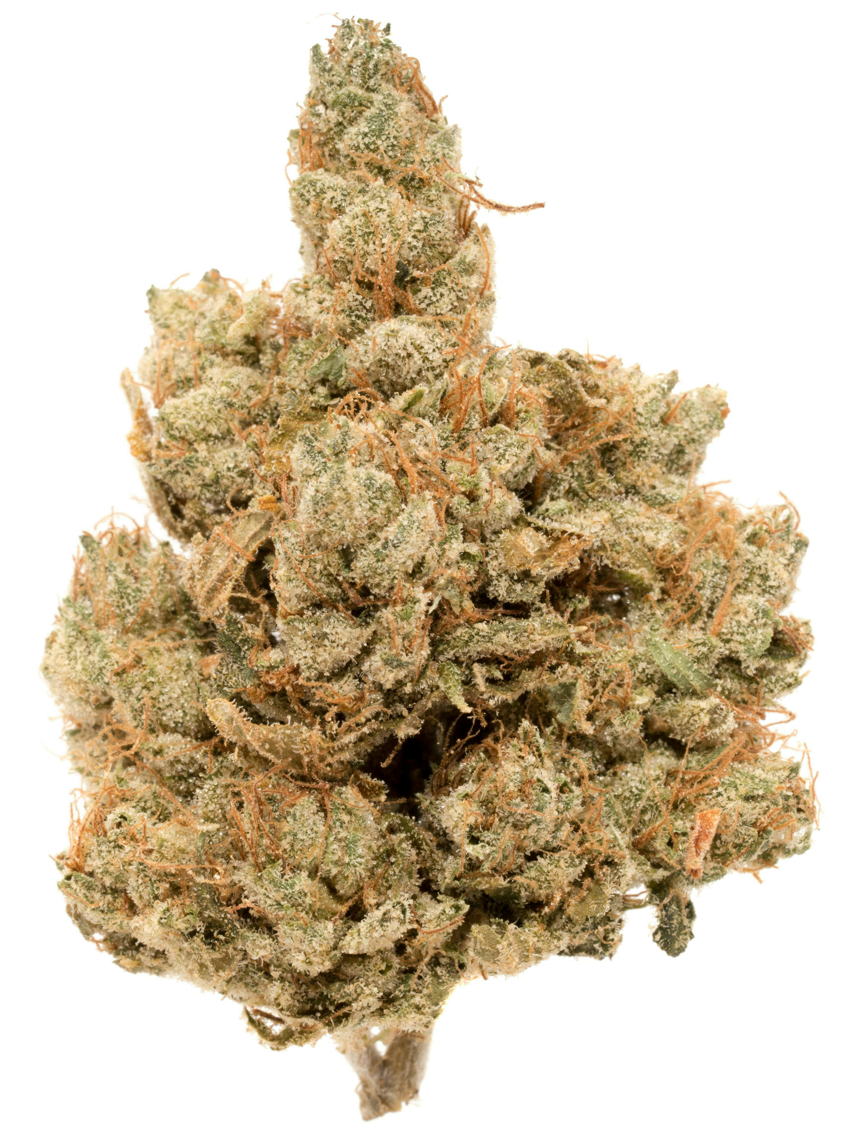 Pineapple Trainwreck | 14 g | BULK CANNABIS CO