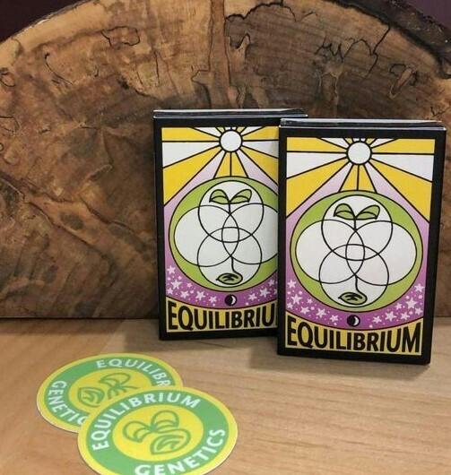 EQUILIBRIUM | REGULAR SEEDS (12PK) | HIGH TIDE | CBD