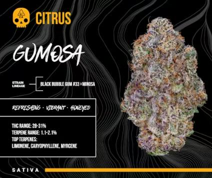 BOSKY | Gumosa | Big Buds | Citrus | 3.5g by Bosky Genetics