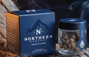 Northern Harvest | Lemon Sherbet | Flower 3.5g | Hybrid