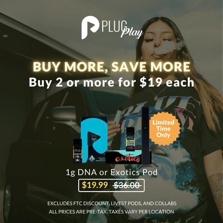 PLUGplay - ASHE X PLUGPLAY -BUY MORE SAVE MORE💨