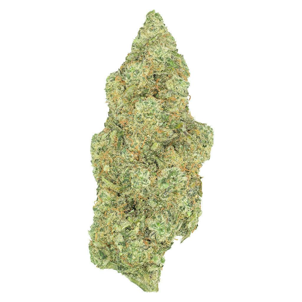 Greybeard - Critical Diesel - Sativa - 3.5g F207
