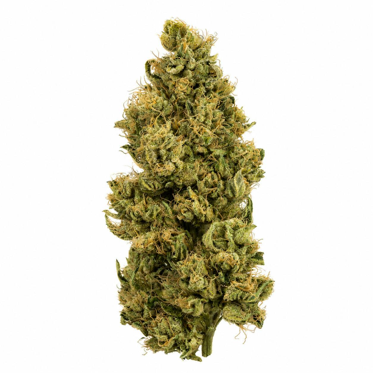 1/2 Zips - Flower - Strawberry Mango Haze