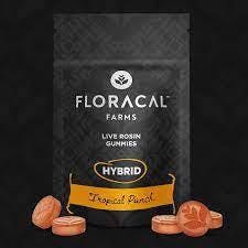 Tropical Punch | Hybrid Live Rosin Gummies 100mg [10pk] at Mystic Greenz