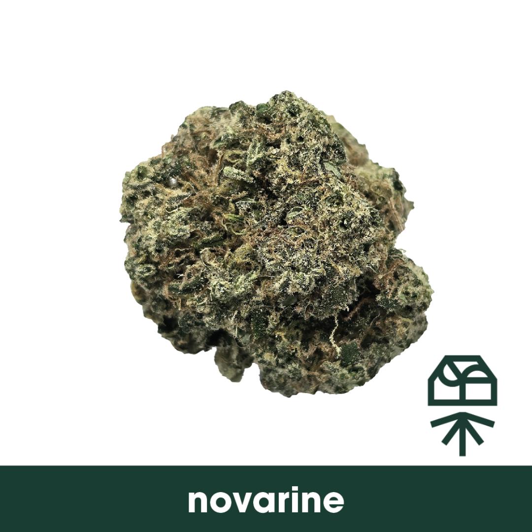 Grassroots Flower Novarine 3.5g Sativa
