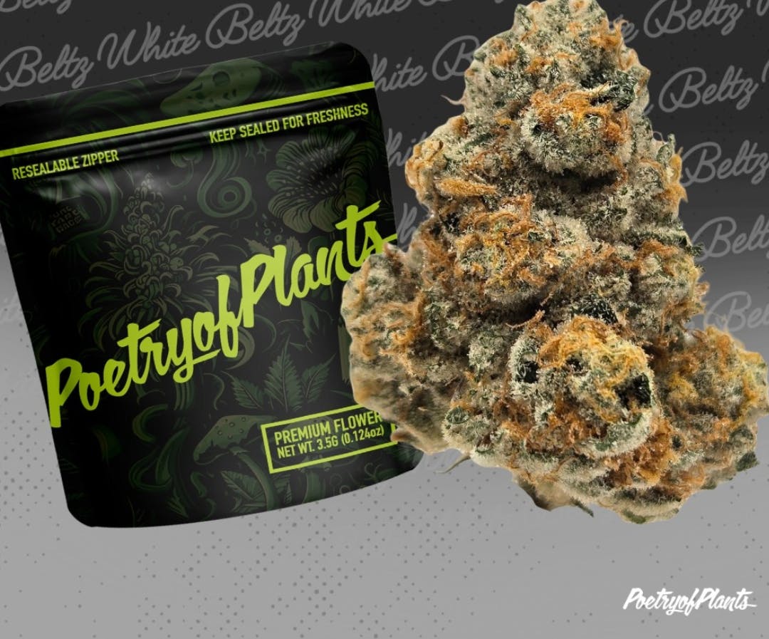 PoP Cheesy Poofs 1g Flower Sativa at Mystic Greenz