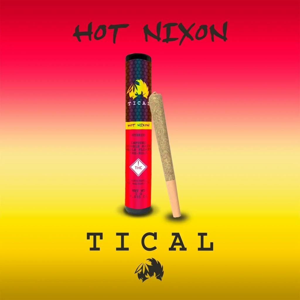 Hot Nixon