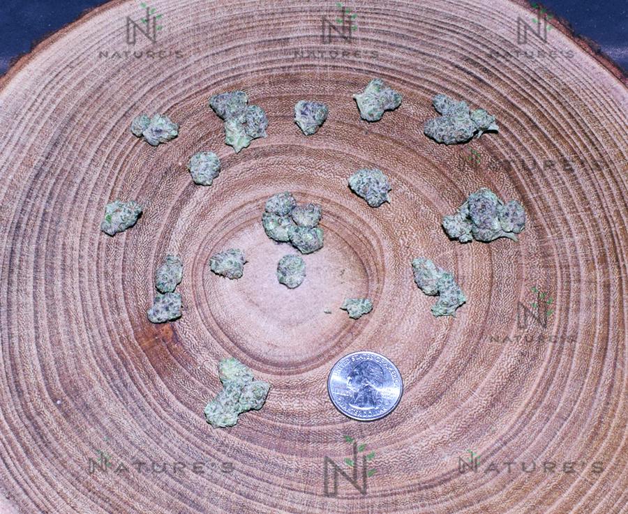 Nature's Bomb Shelf Hindu Kush Bulk