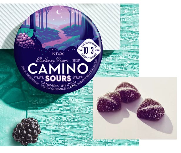 CAMINO: Blackberry Dream