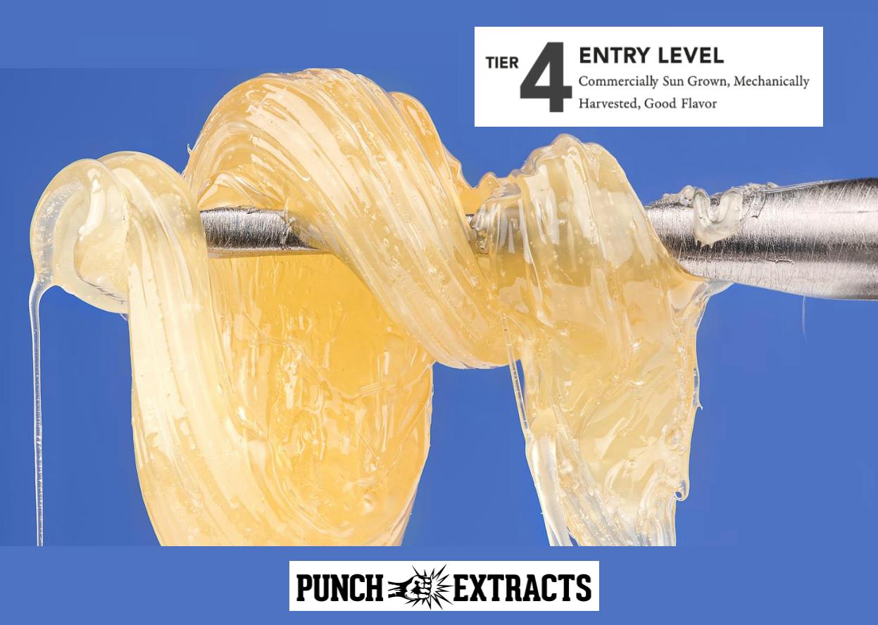 GUAVA ZLIME TIER 4 PREMIUM LIVE ROSIN BADDER - 1 g