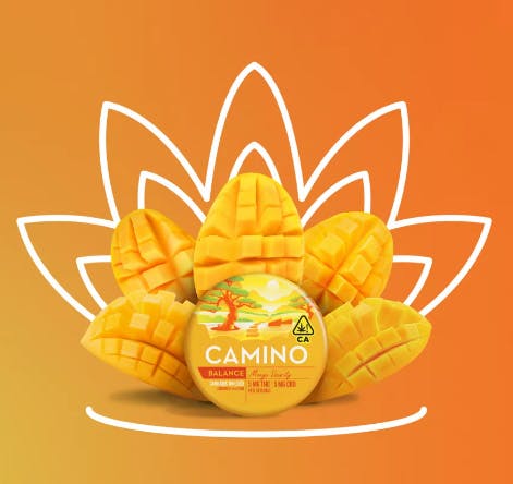 CAMINO: Mango Serenity - :1