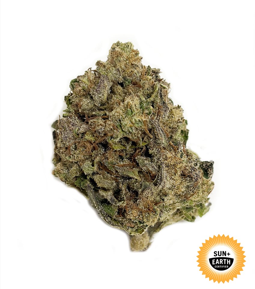 PINK RUNTZ EIGHTH - 3.5 g