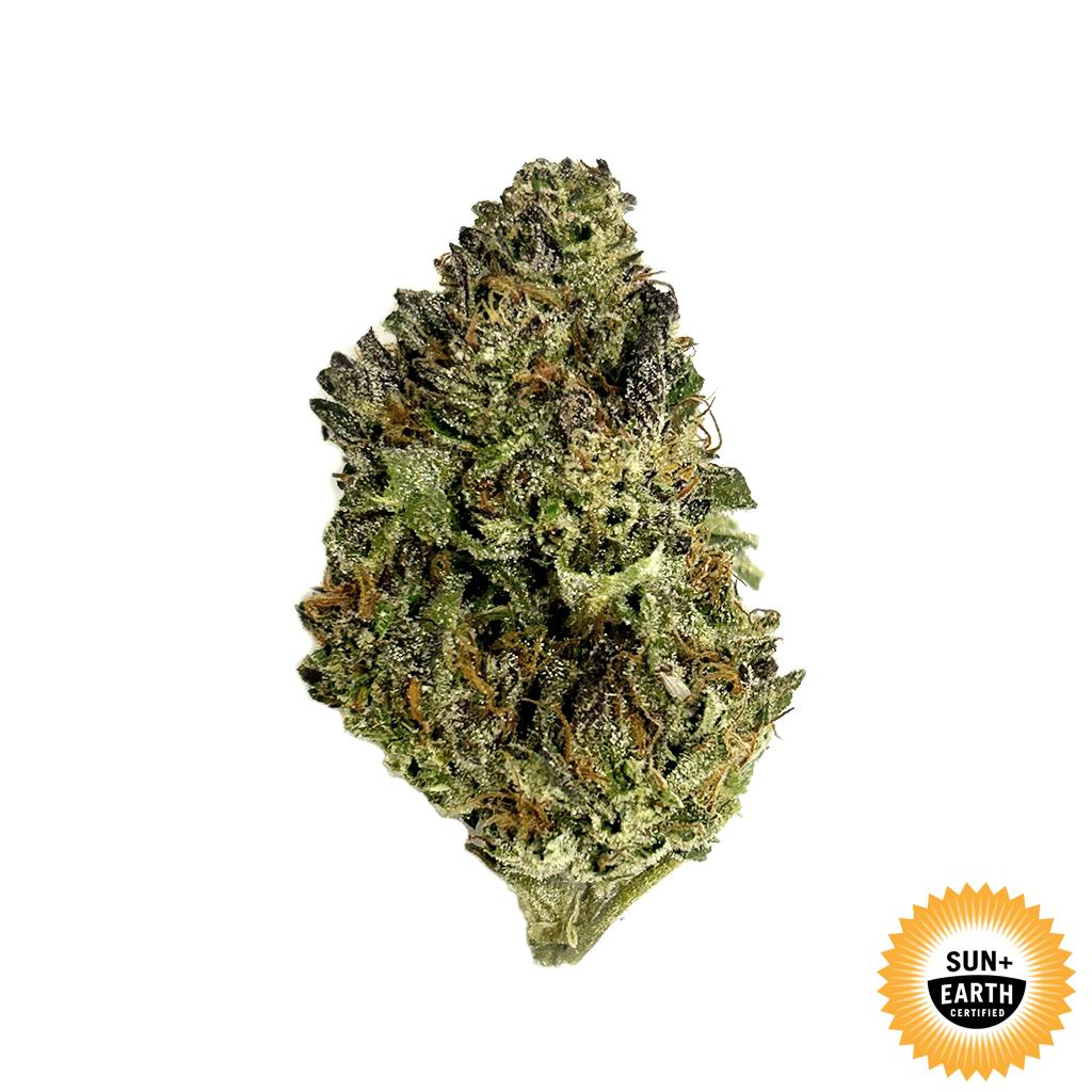 PURPLE ICE: Cream Cake