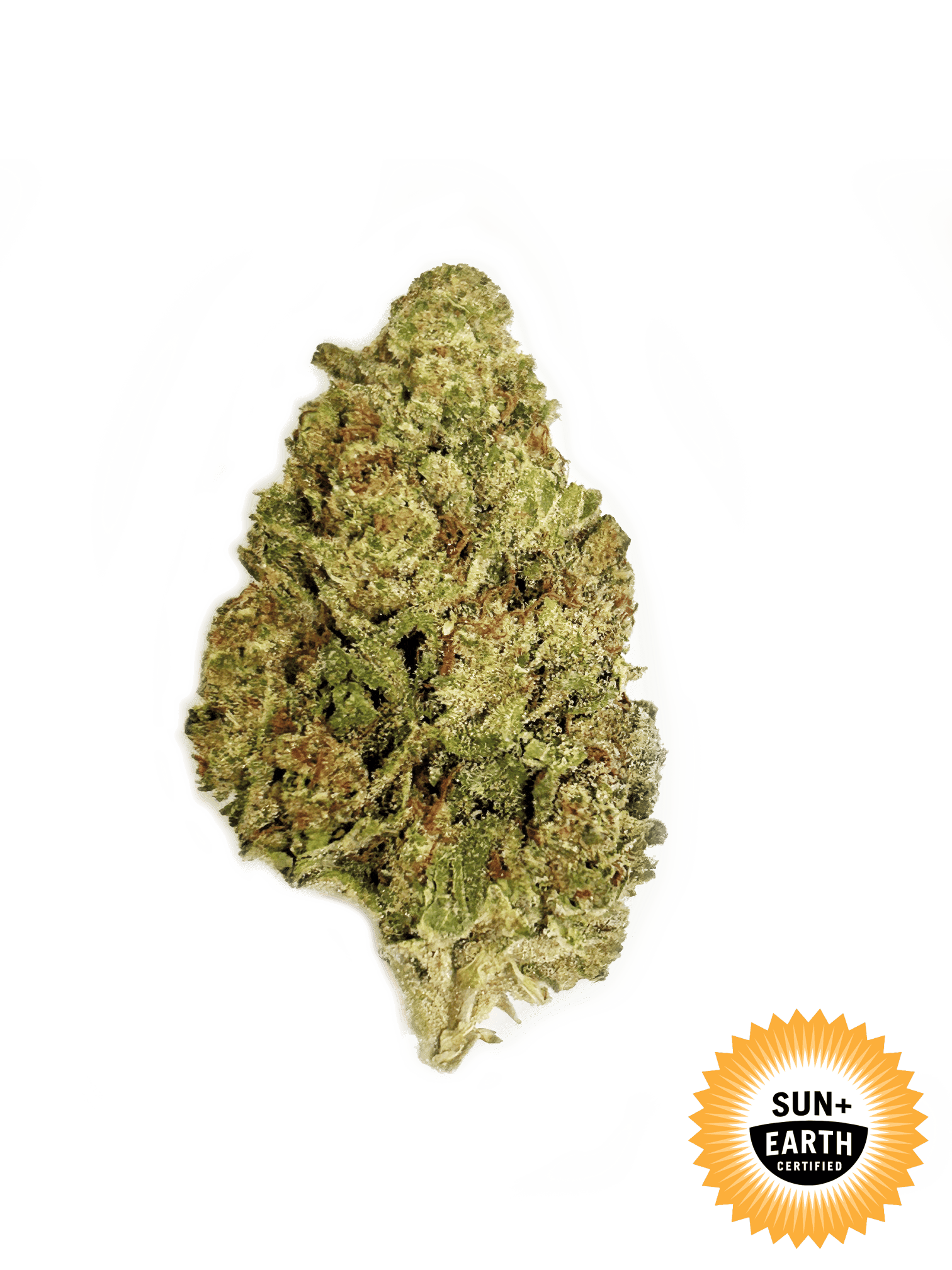 King Louis: 28 g