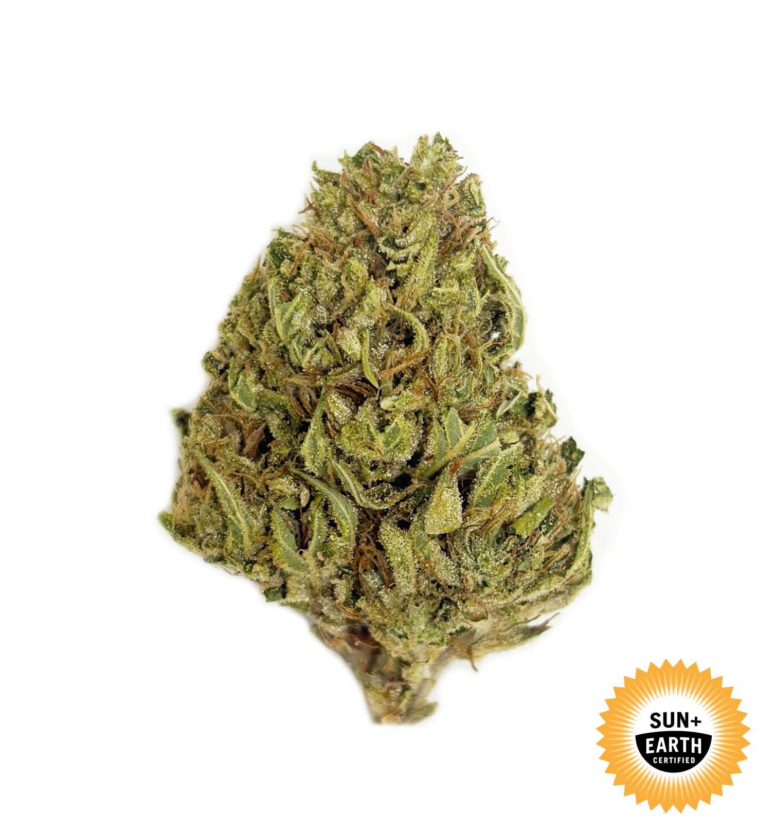 Sour Diesel: 14 g