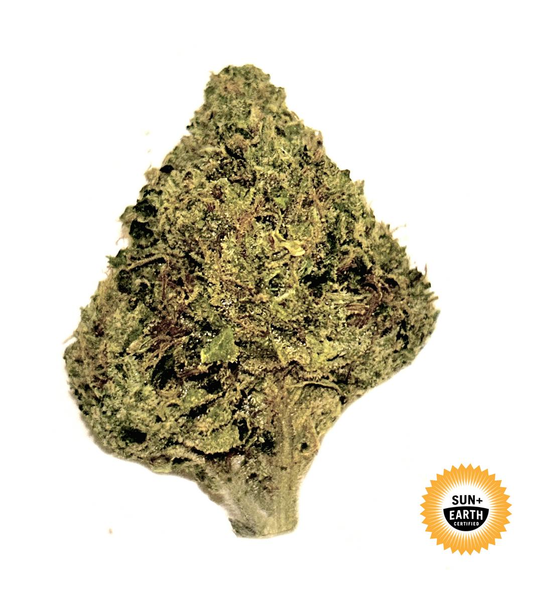 Amaretto Mintz: 14 g