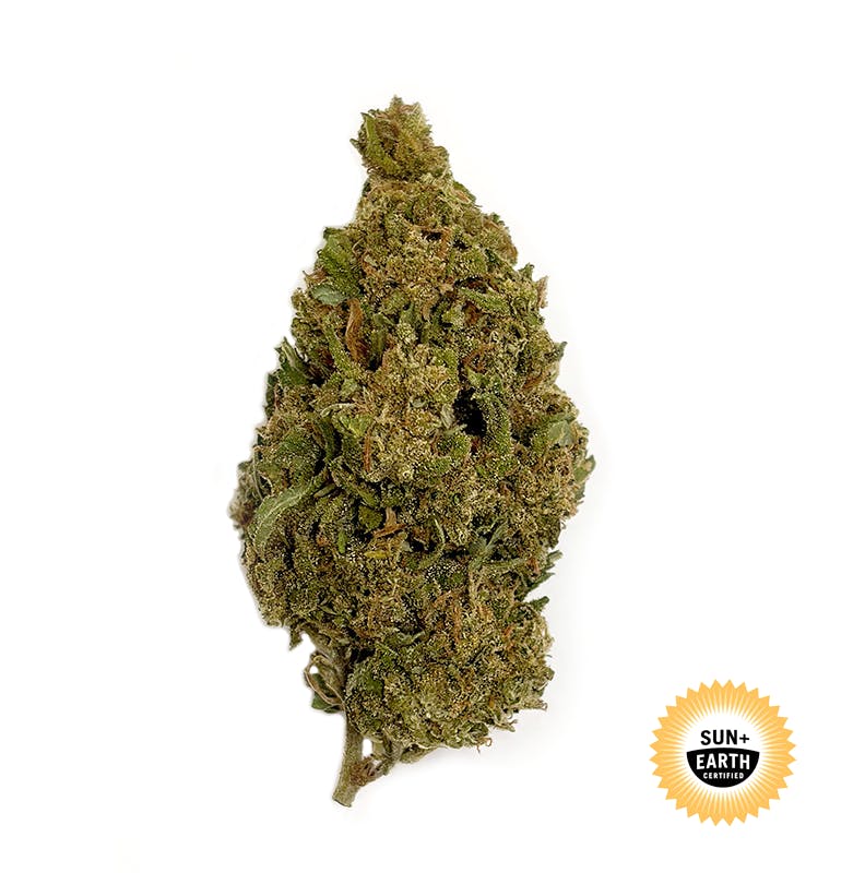 Jack Herer: 3.5 g