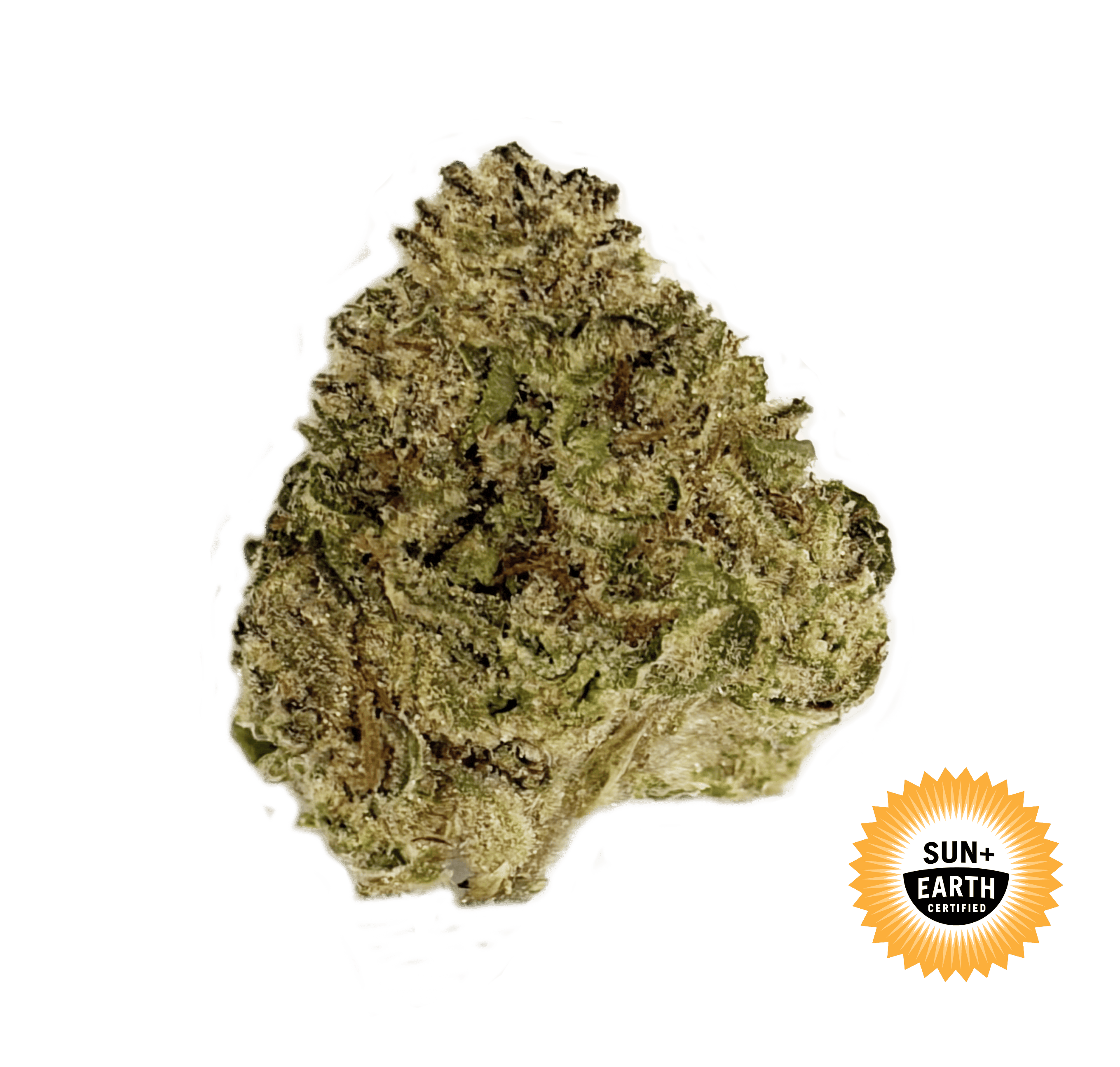 King Louis: 3.5 g