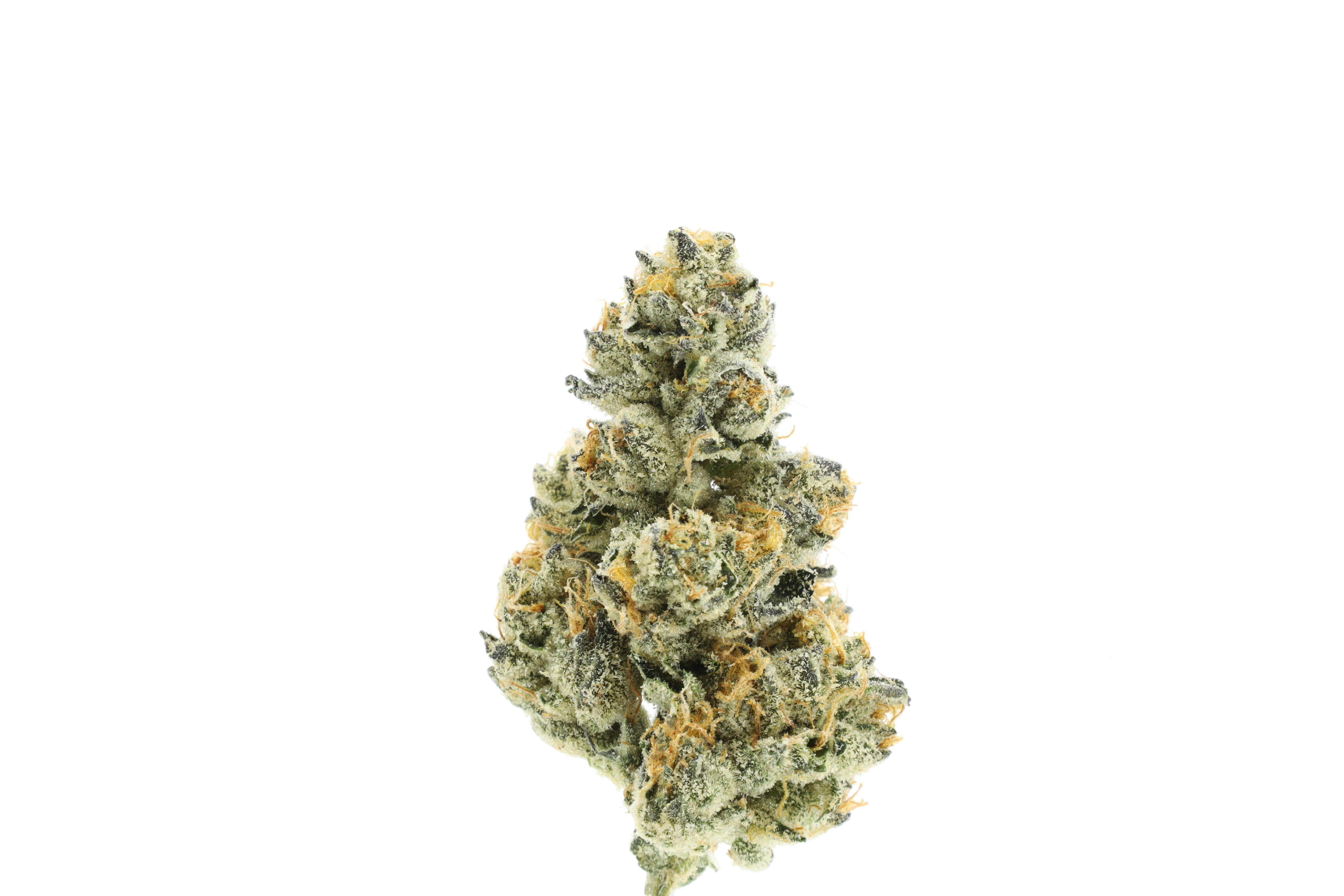 CHERRY AK EIGHTH - 3.5 g