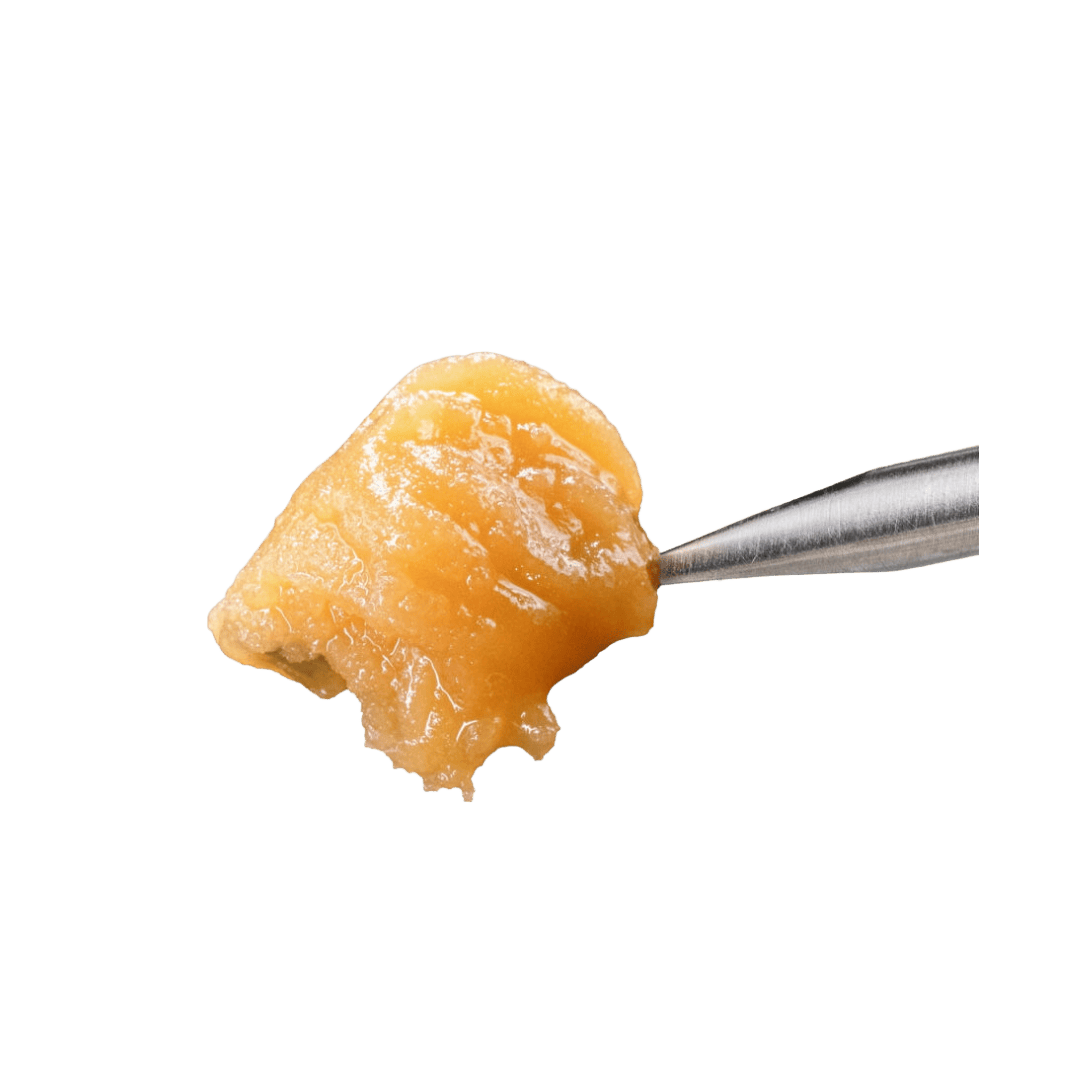 PURPLE PUNCH LIVE RESIN BADDER