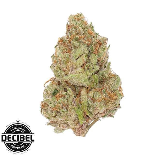 Acid Breath