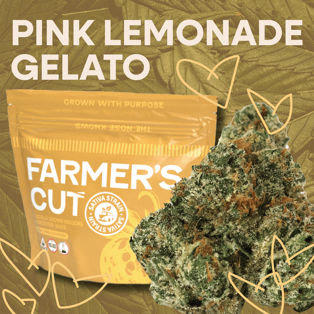 Pink Lemonade Gelato | 7g | Farmer's Cut