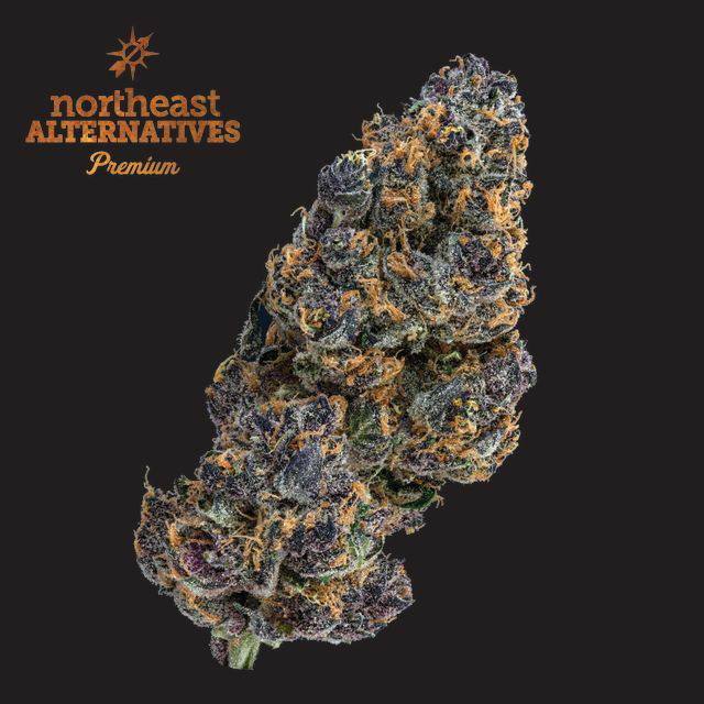 Tropsanto | 3.5g | Northeast Alternatives