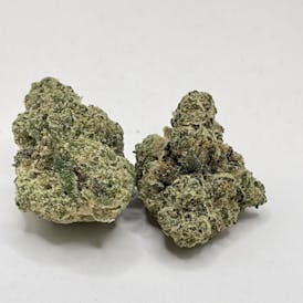 Unloc Gardens| Zapplez Buds |