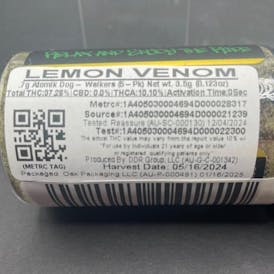 Lemon Venom 5pk| Atomik Dog Walker