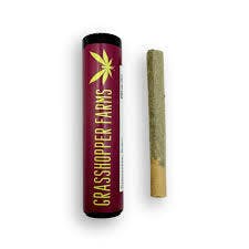 Fatso | Infused Joint | 1g