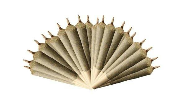 Unloc Gardens | Greasy Runtz 28PK PR