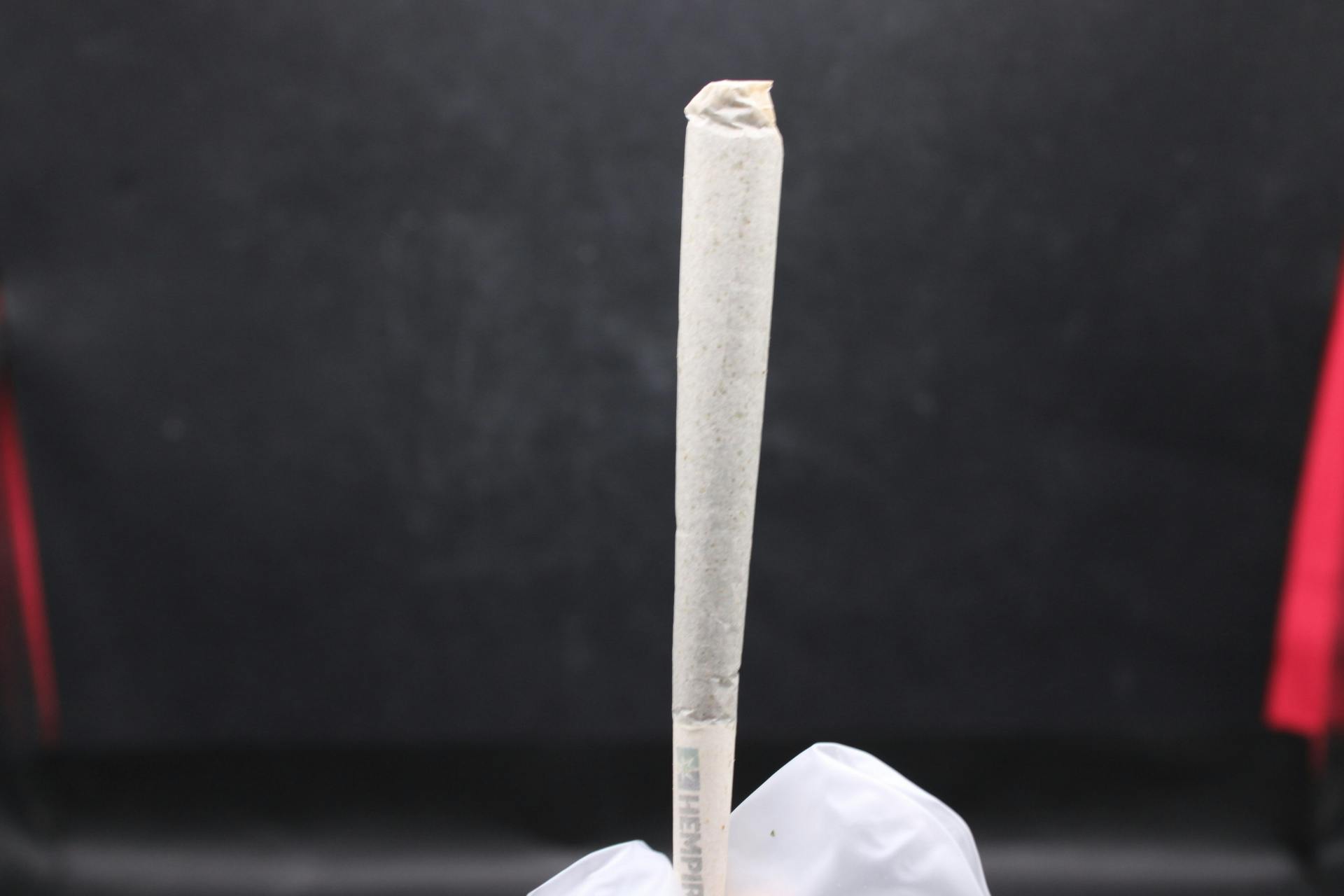 REG Beach Cookies 1g Pre roll- Traphouse
