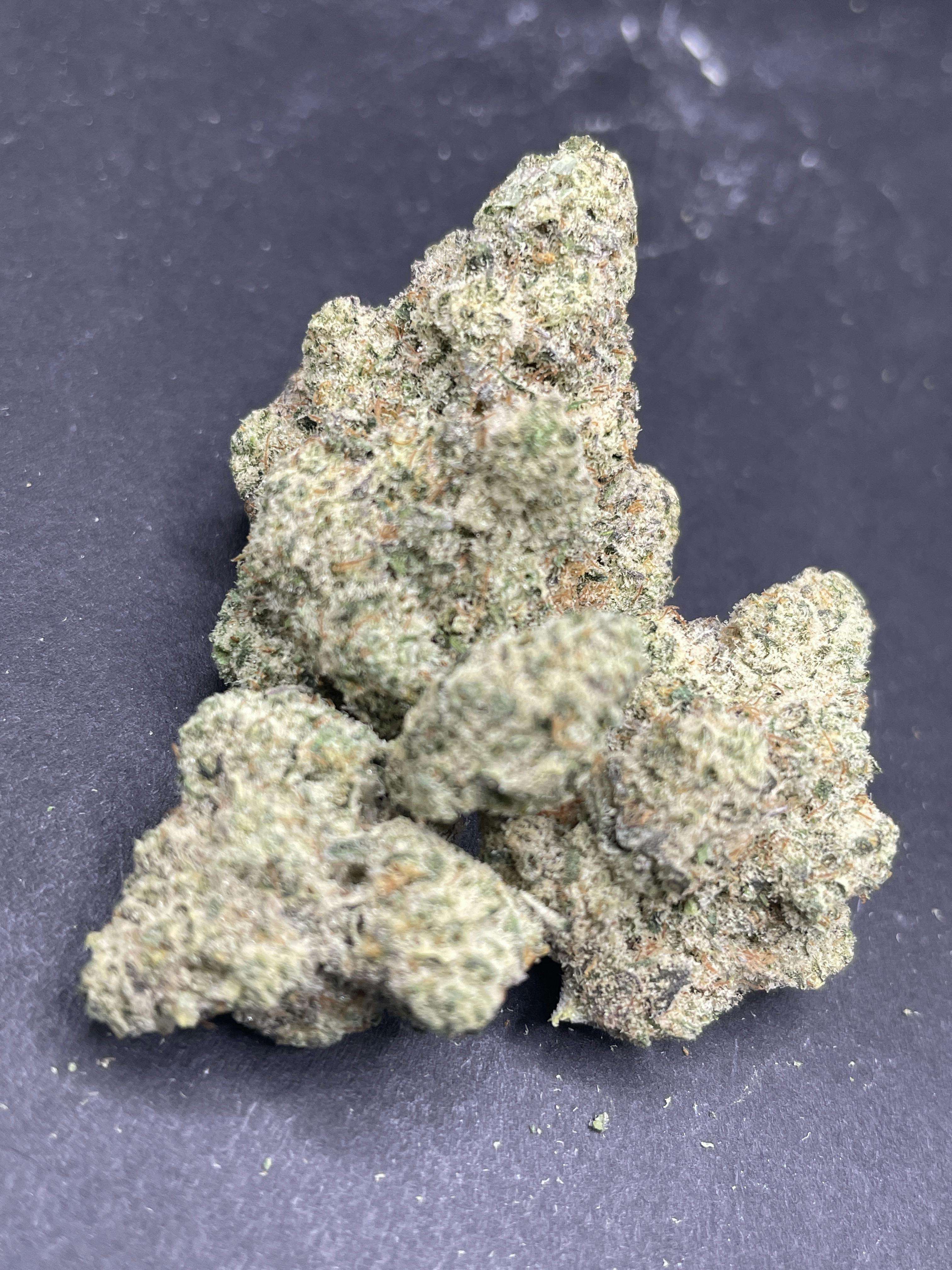 Pegasus | Indoor Flower- M.A.C. Buds