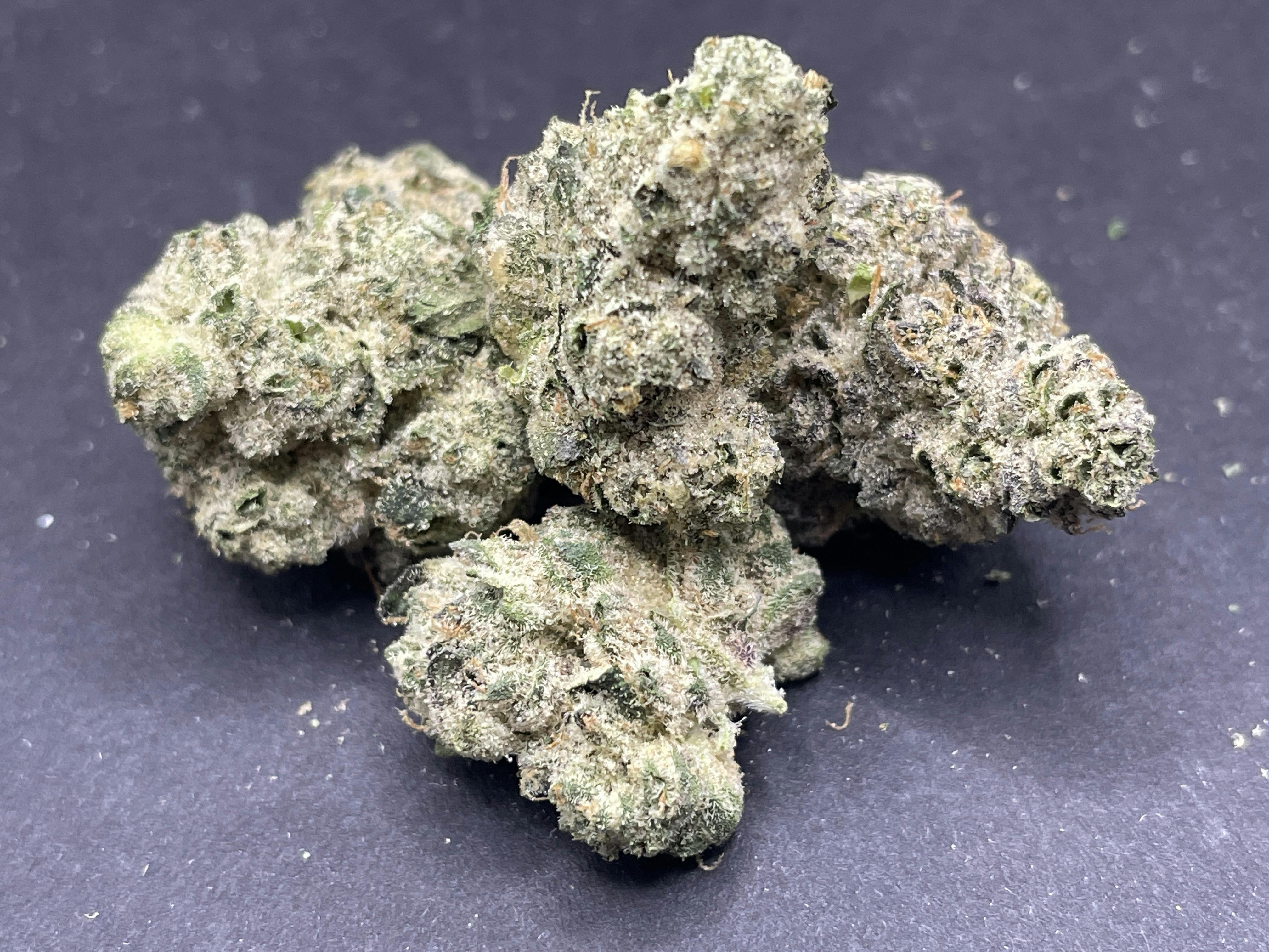 Pegasus | Indoor Flower- Cherry Bomb Pop