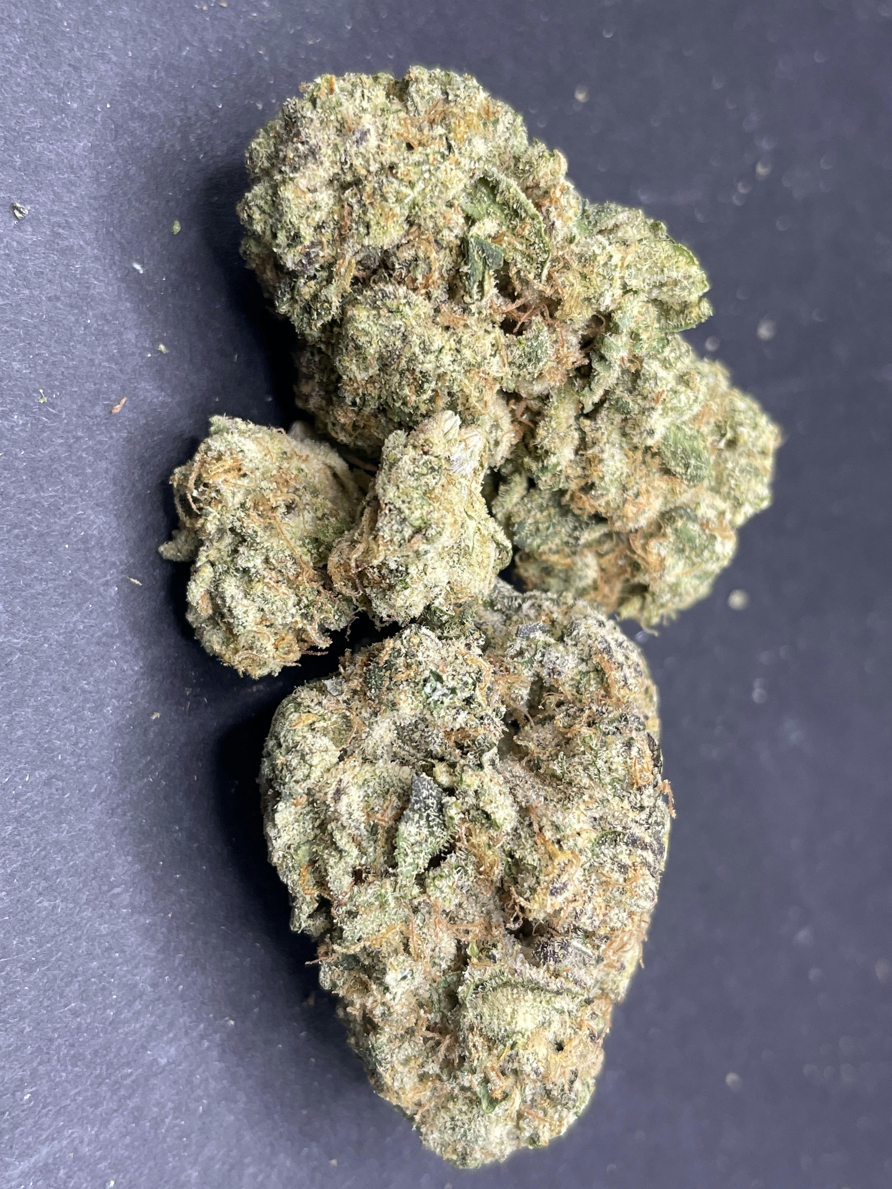 Frosted Farms | Glue Cheese- Buds