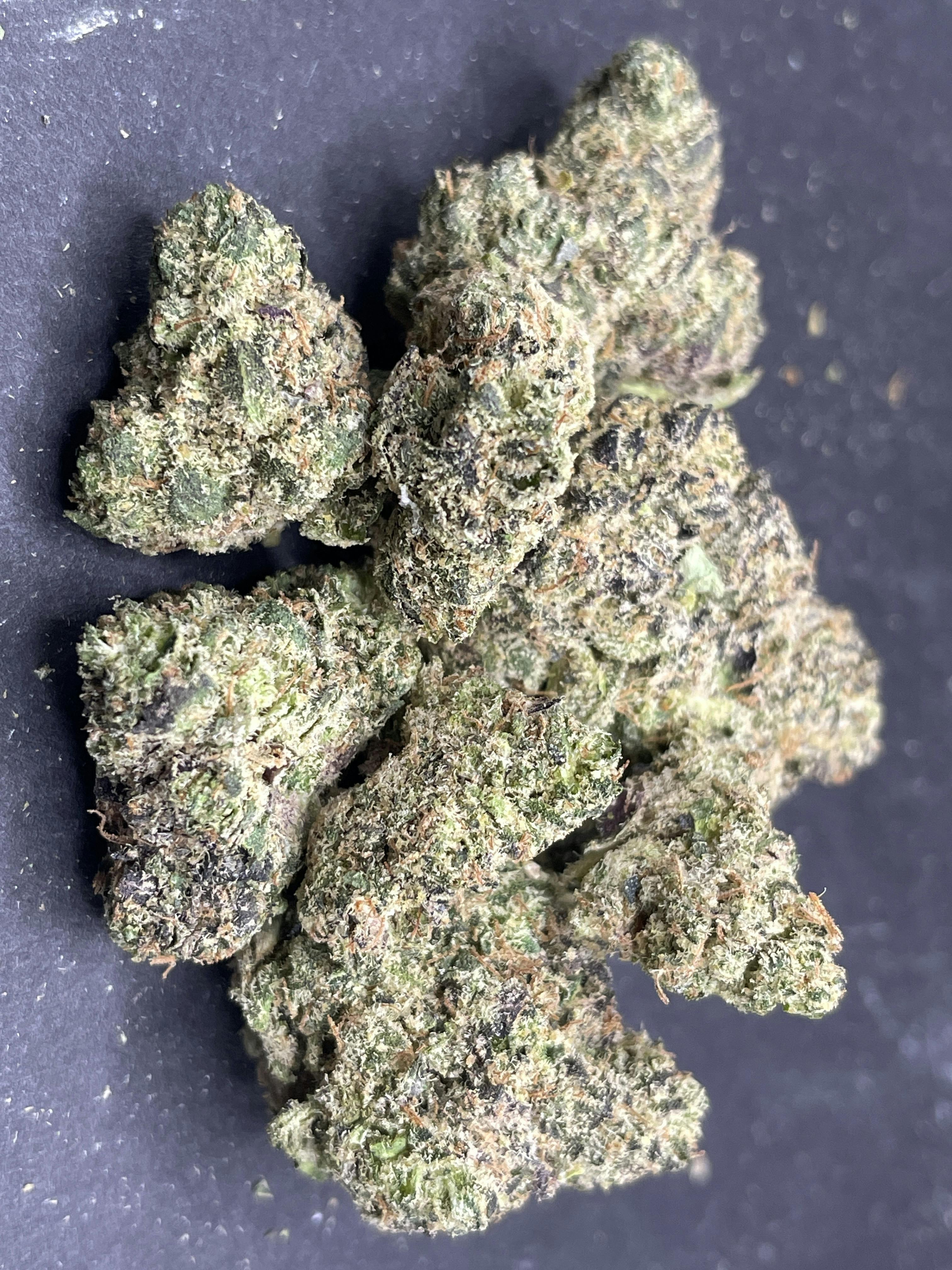 Unloc Gardens | Gas Light BUD MISC SHAKE