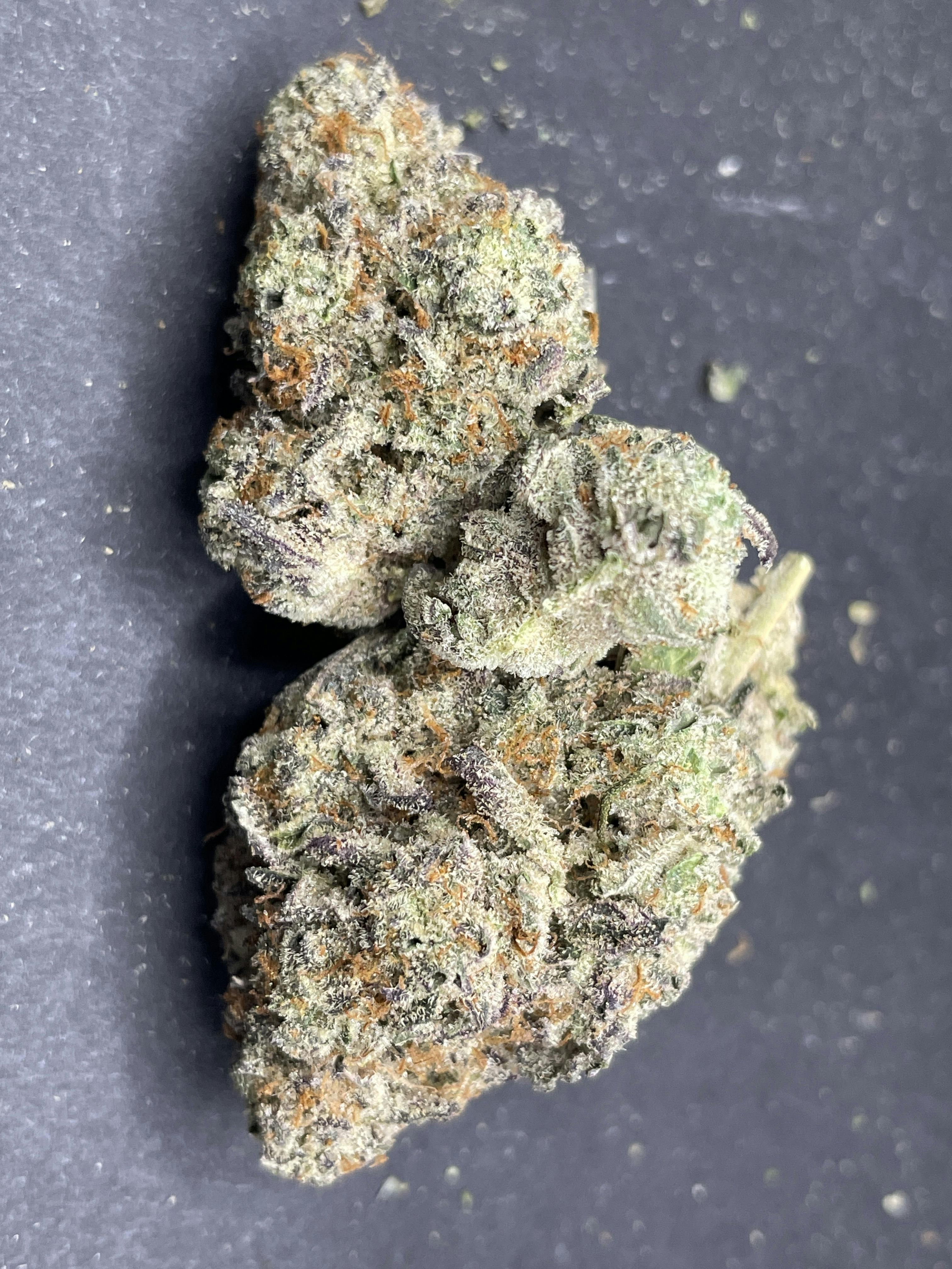 Freedom Green | Comet Cookies Buds MISC SHAKE