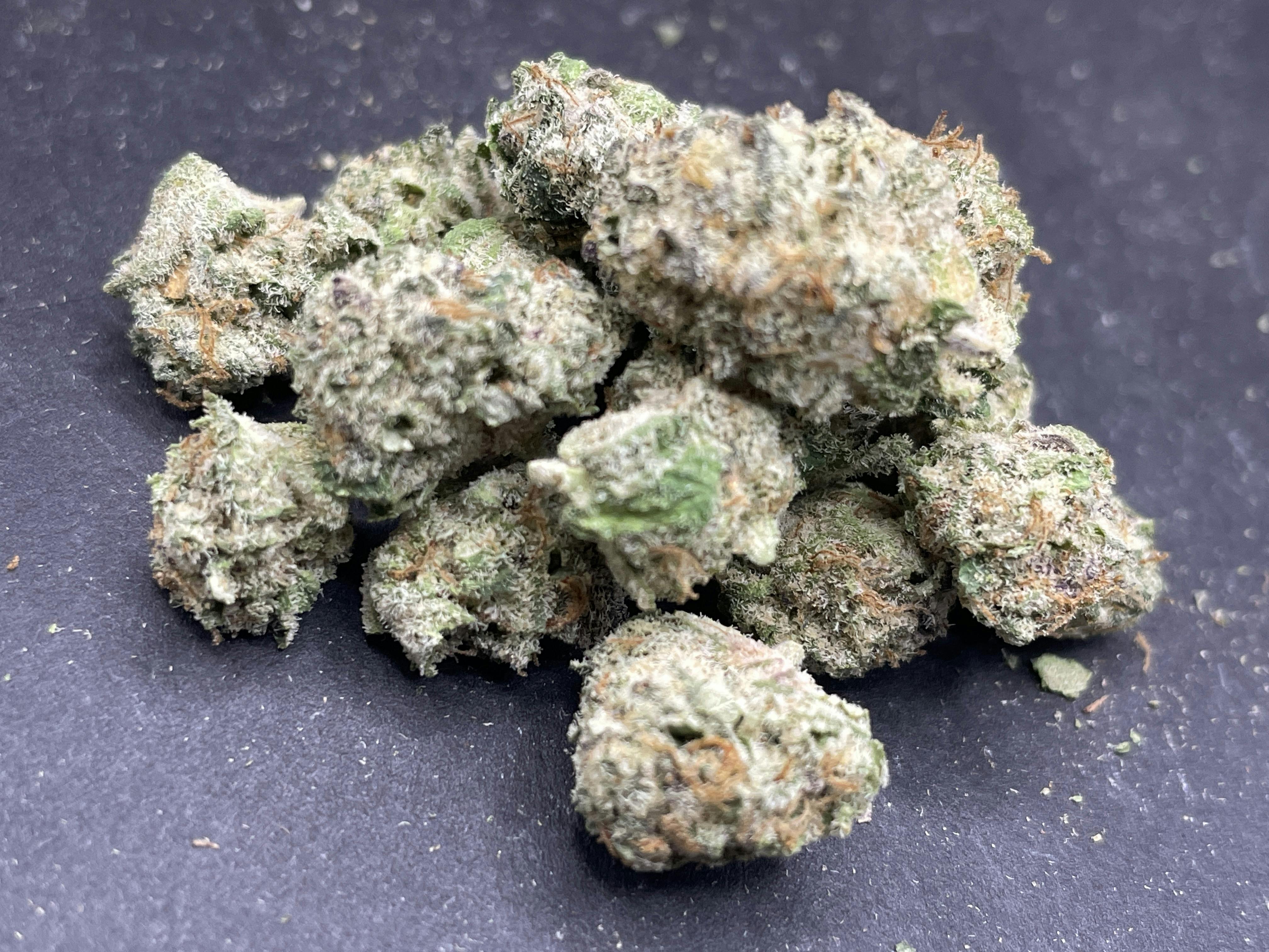 Freedom Green | Paradise Punch Small Buds MISC SHAKE